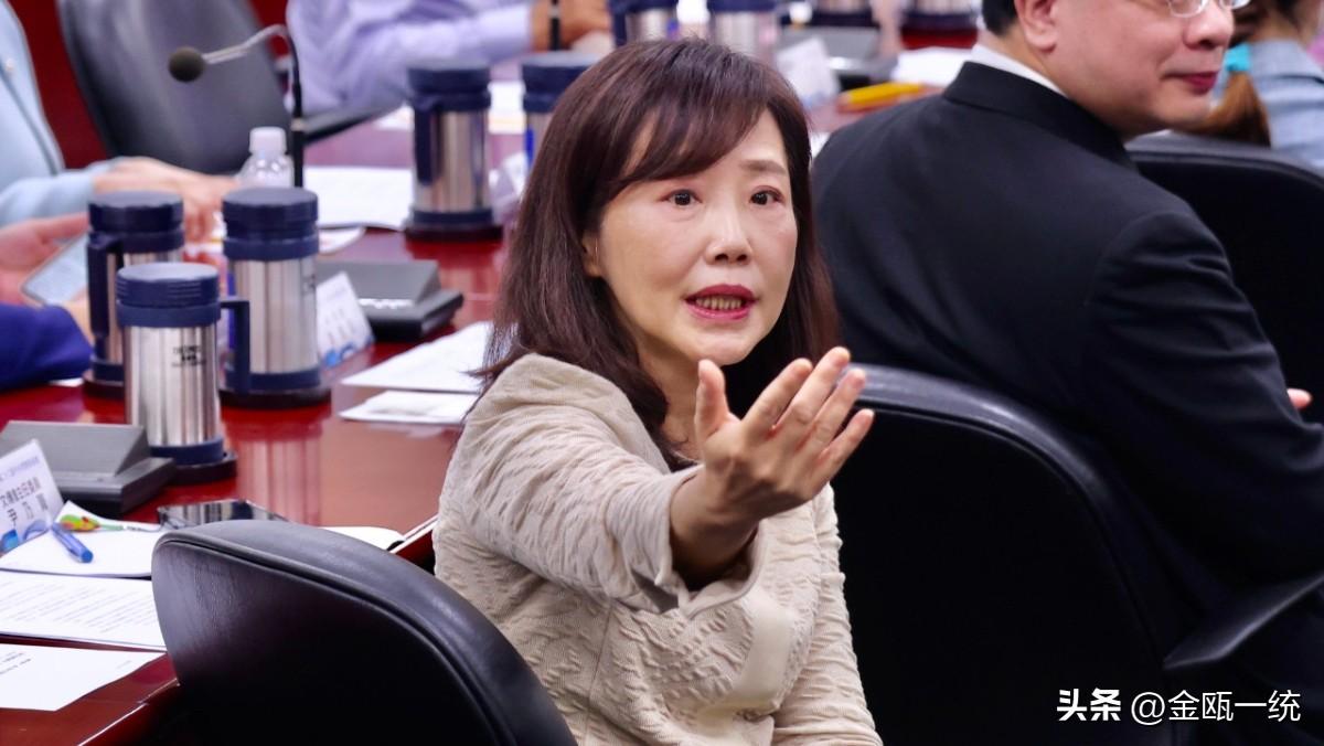 蓝委为张启楷助选是否违纪？尹乃菁：没有问题

针对嘉义市长选举，国民党提名人翁寿