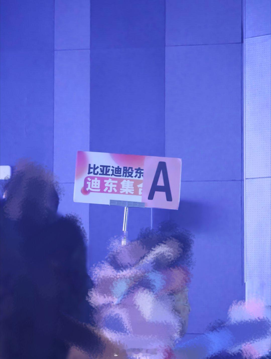 什么时候能坐那边咱就支棱起来了，现在属于小孩这桌的 深圳·比亚迪股份有限公司(六