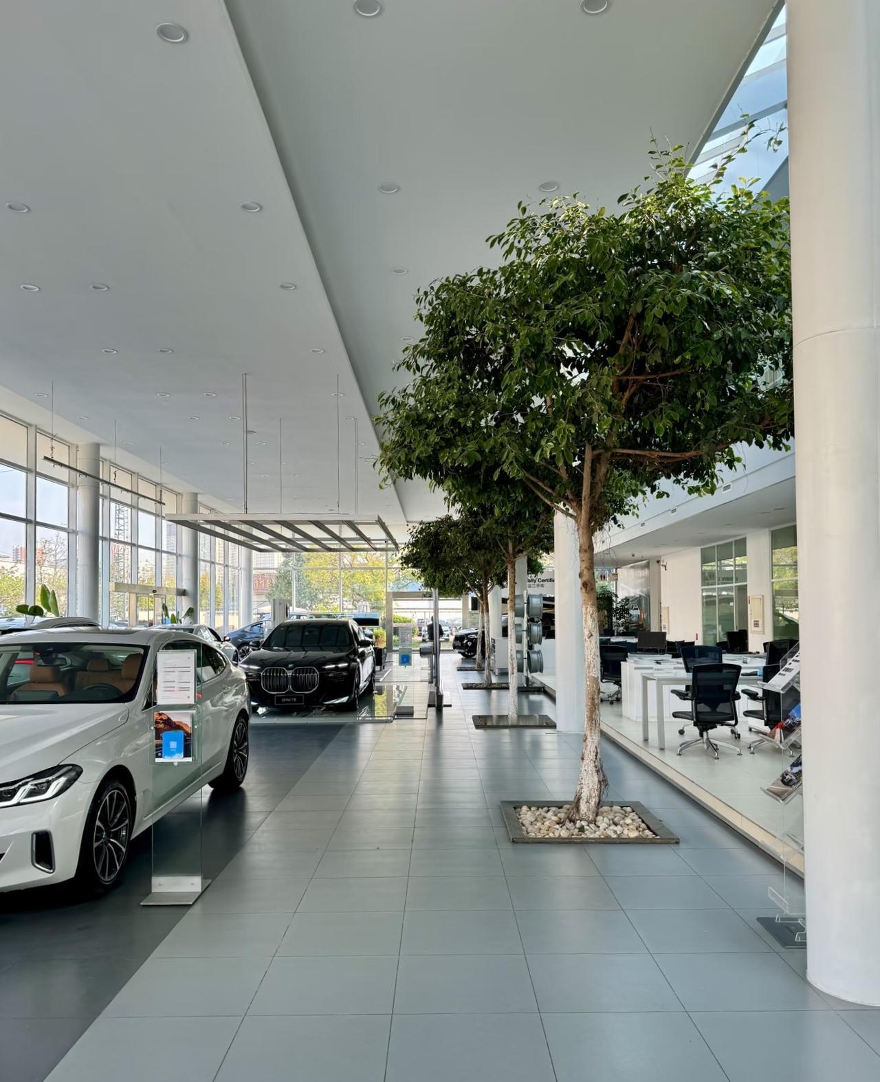 我喜欢去4S店试驾各种各样的车，不能把这些车都买回家，但是能开一开坐坐感受一下也