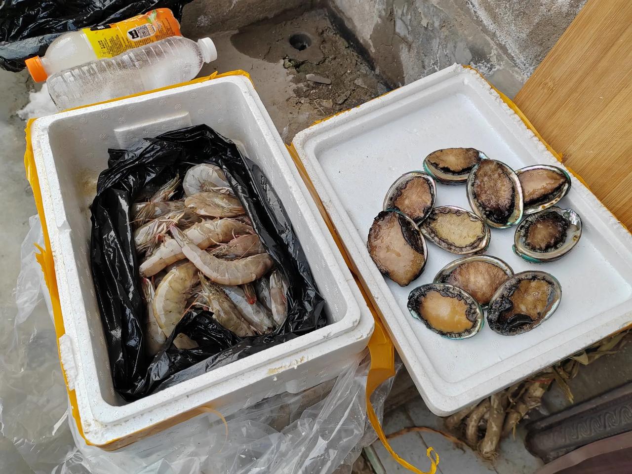 粉丝姐姐寄来十只鲍鱼和两斤大海虾，她想让我家人尝一下真正的海鲜，太感谢了，在我记