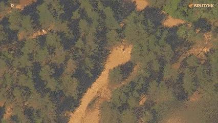 泽连斯基高兴太早了！乌克兰以为自己袭击了俄罗斯的空军基地，从此就能硬气了，实际上