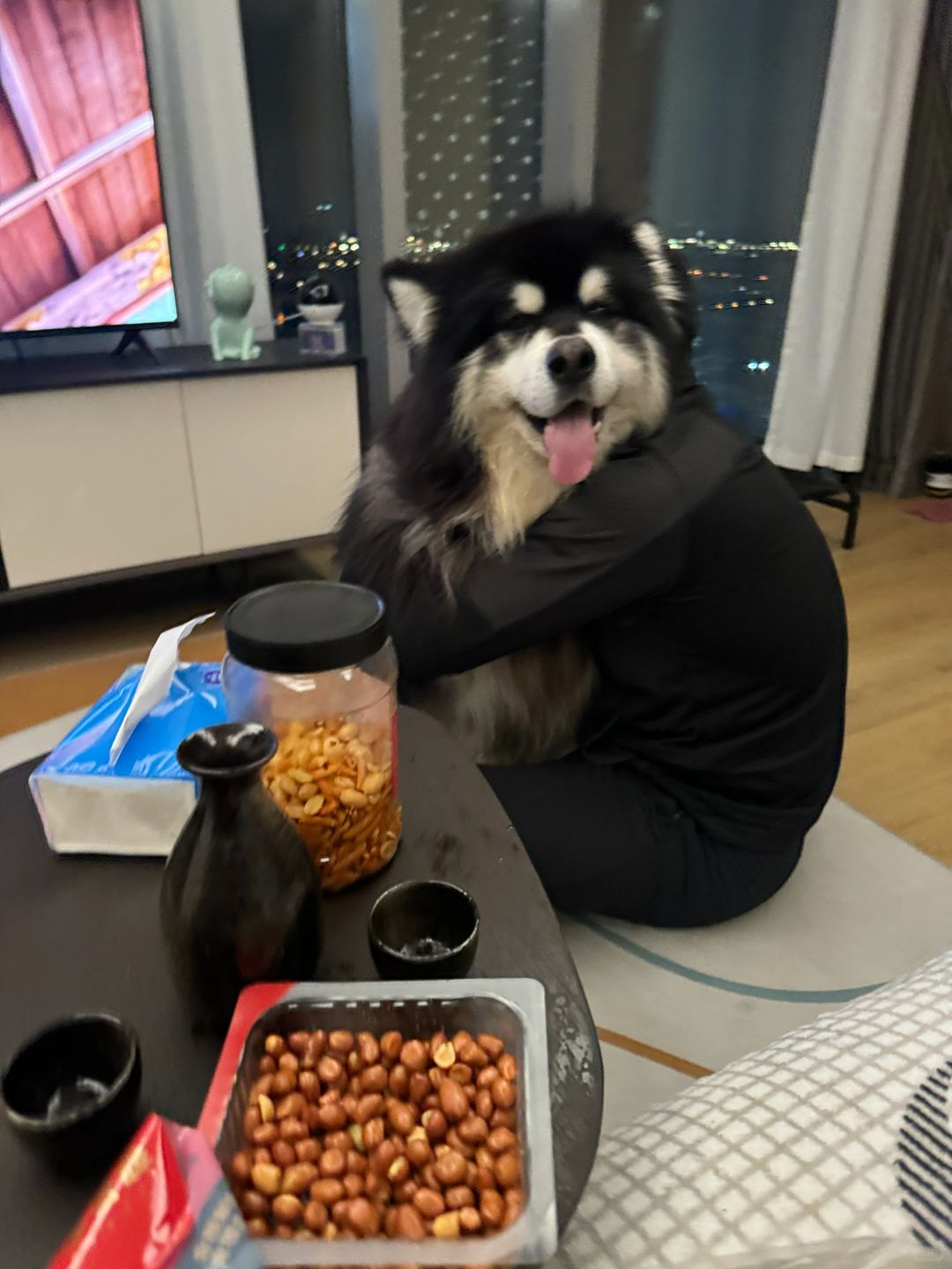 喝多了就吸狗