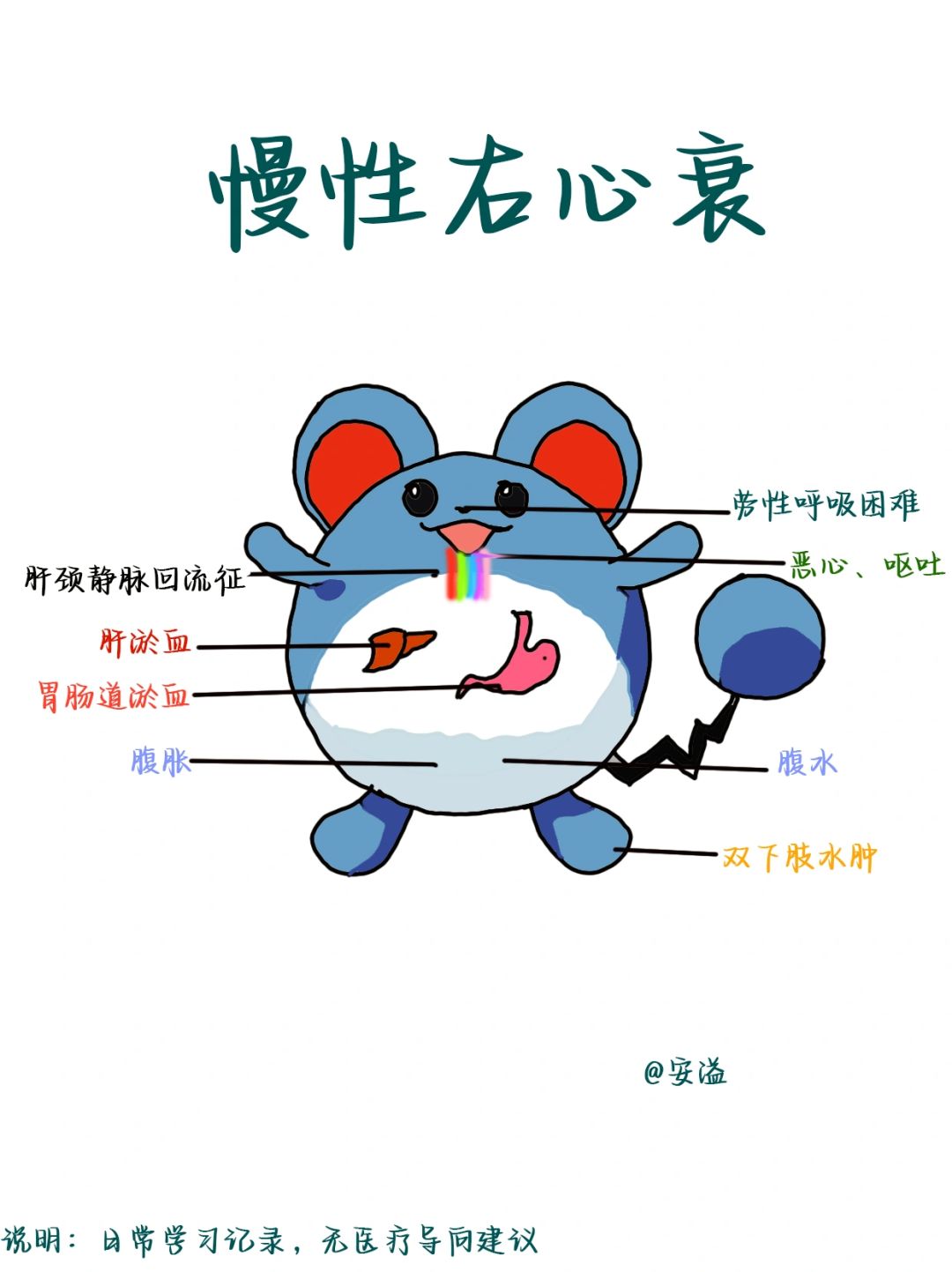 医学生绘本笔记‖慢性右心衰