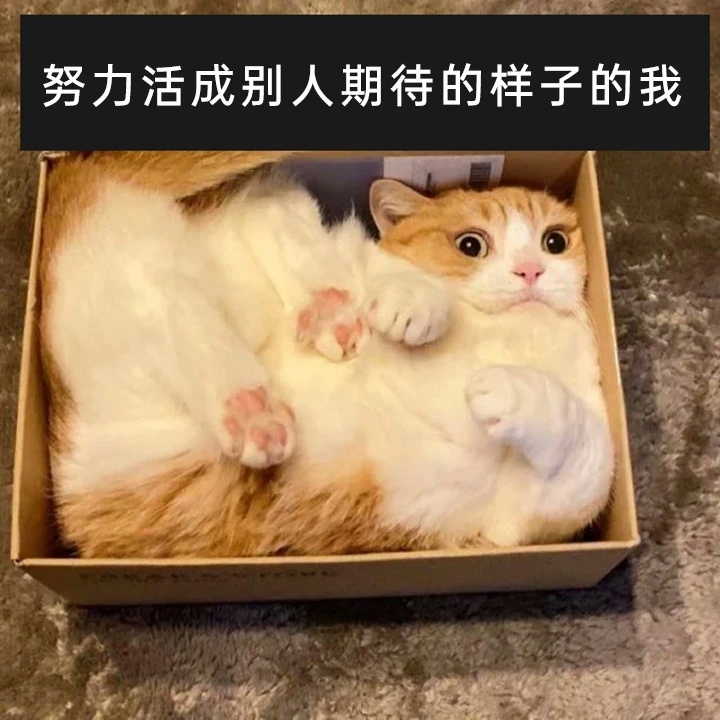 硬撑着迎合所有人 