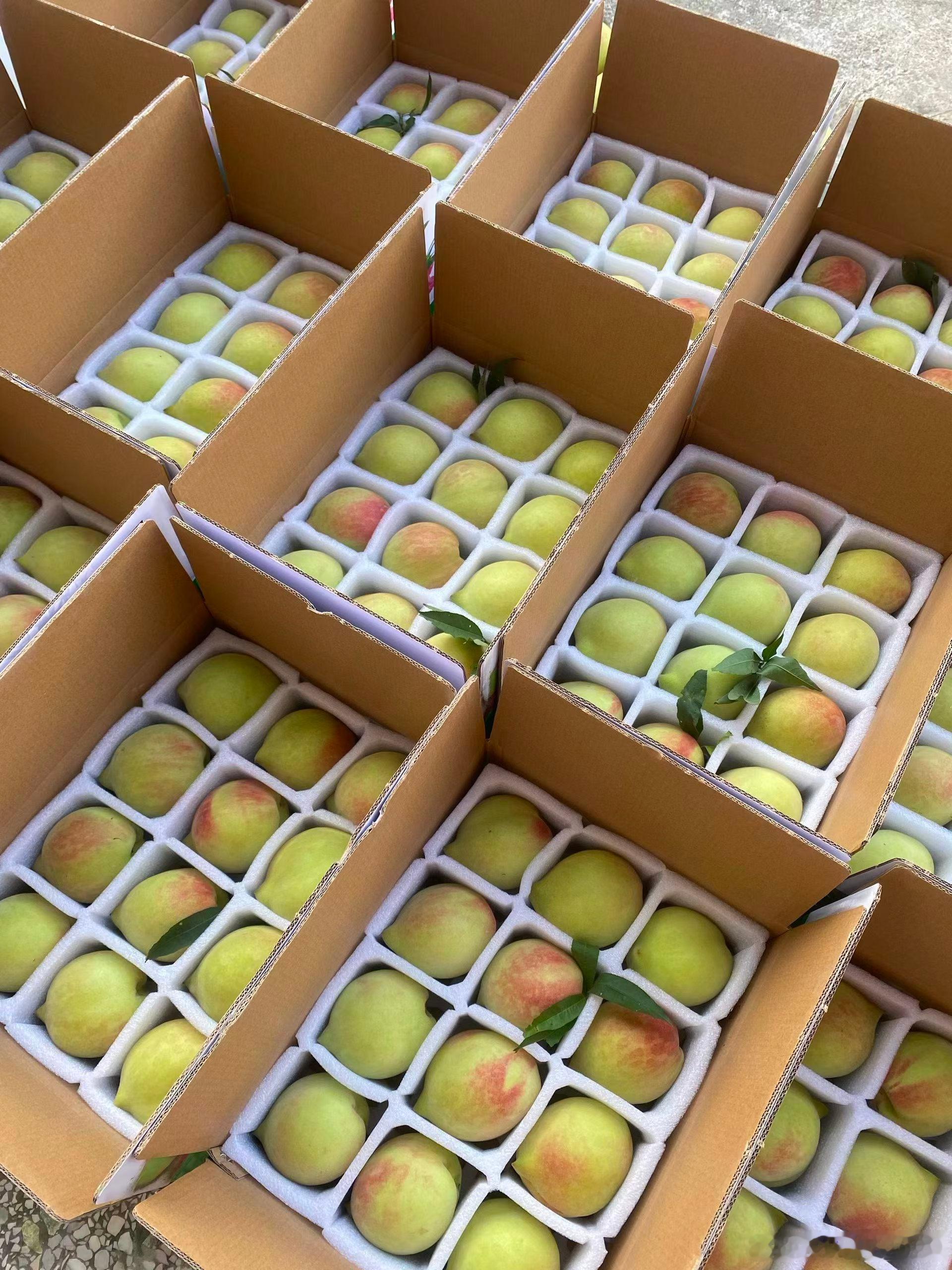 拉单子的快乐，一天收入顶上班一个月
