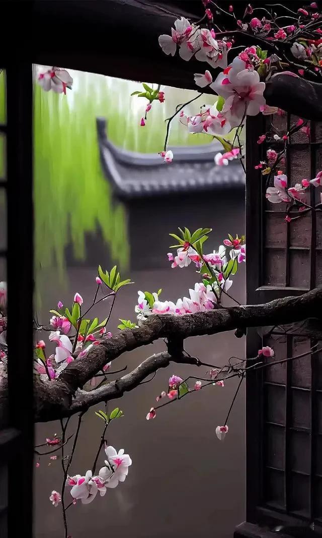 #记录我的2024# 
不恨此花飞尽 , 恨西园、落红难缀。晓来雨过 , 遗踪何