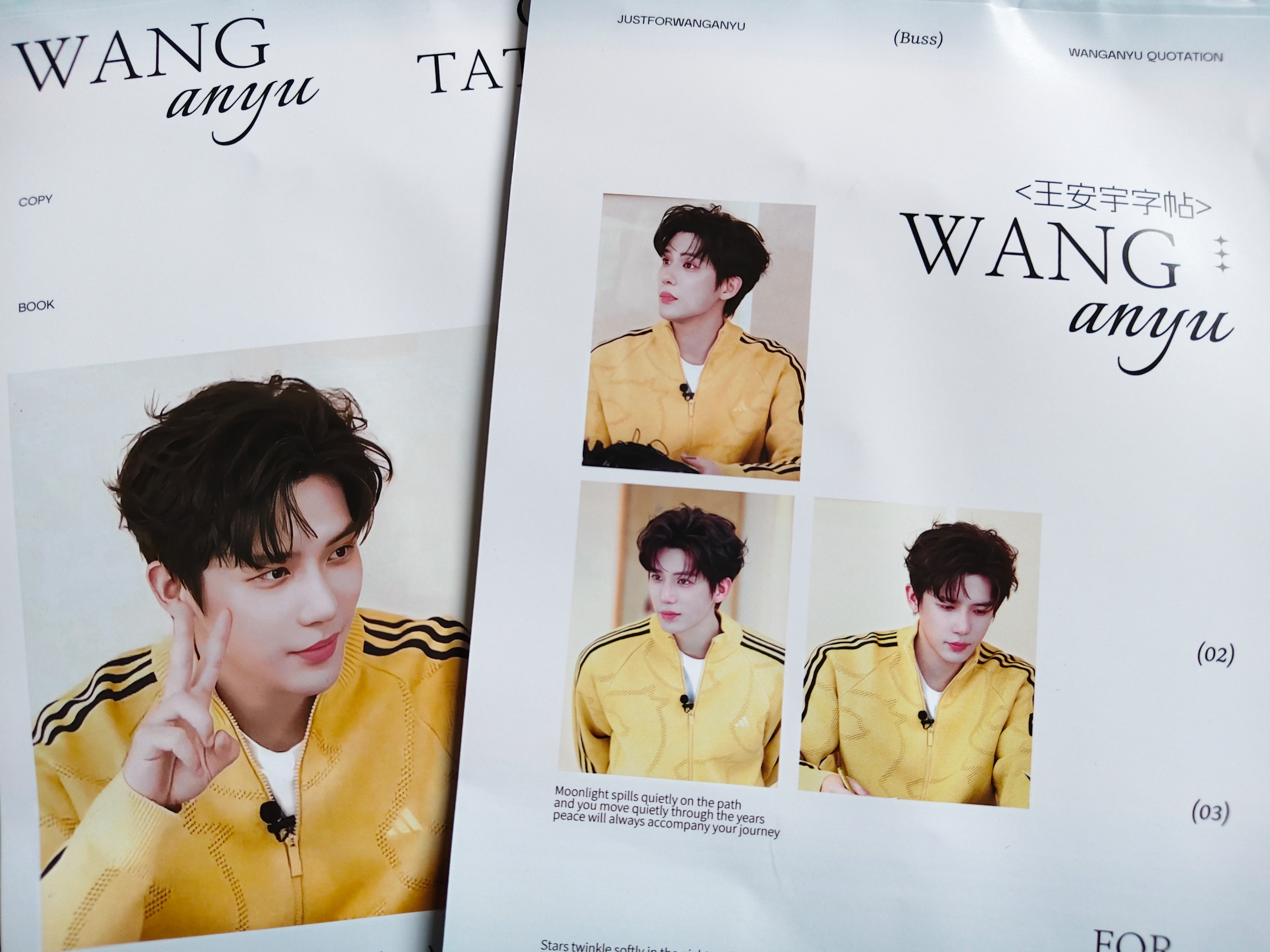 想写 但舍不得 所以我决定用铅笔写✍🏻    