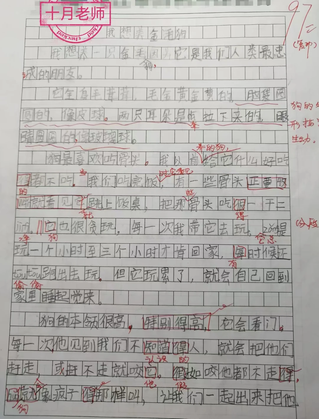 二年级下册考试作文《我想养金毛狗》