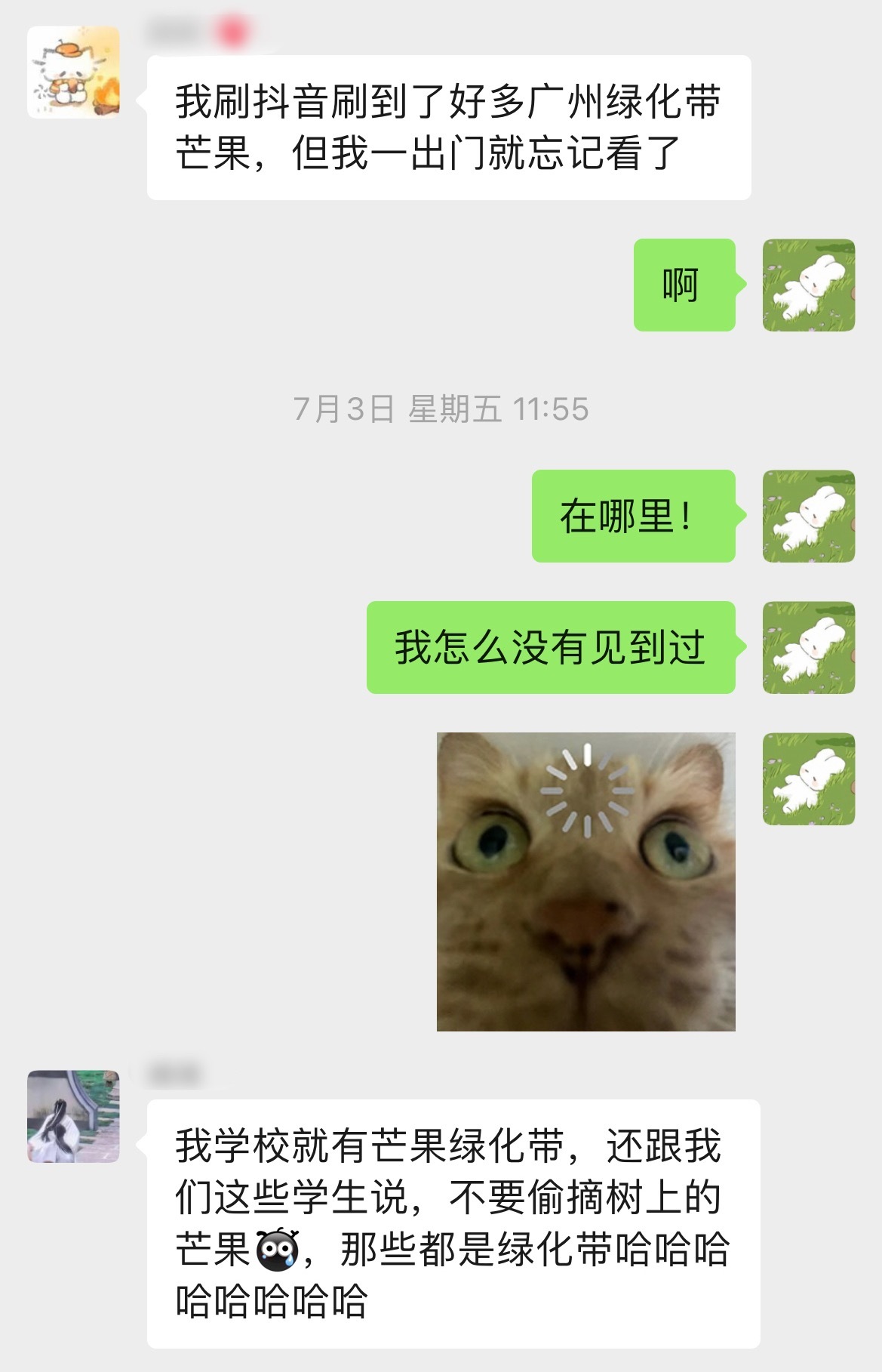 去蹭饭还有一个原因——就是看芒果树！真让我找着芒果树了！真想急头白脸在那蹲一天等