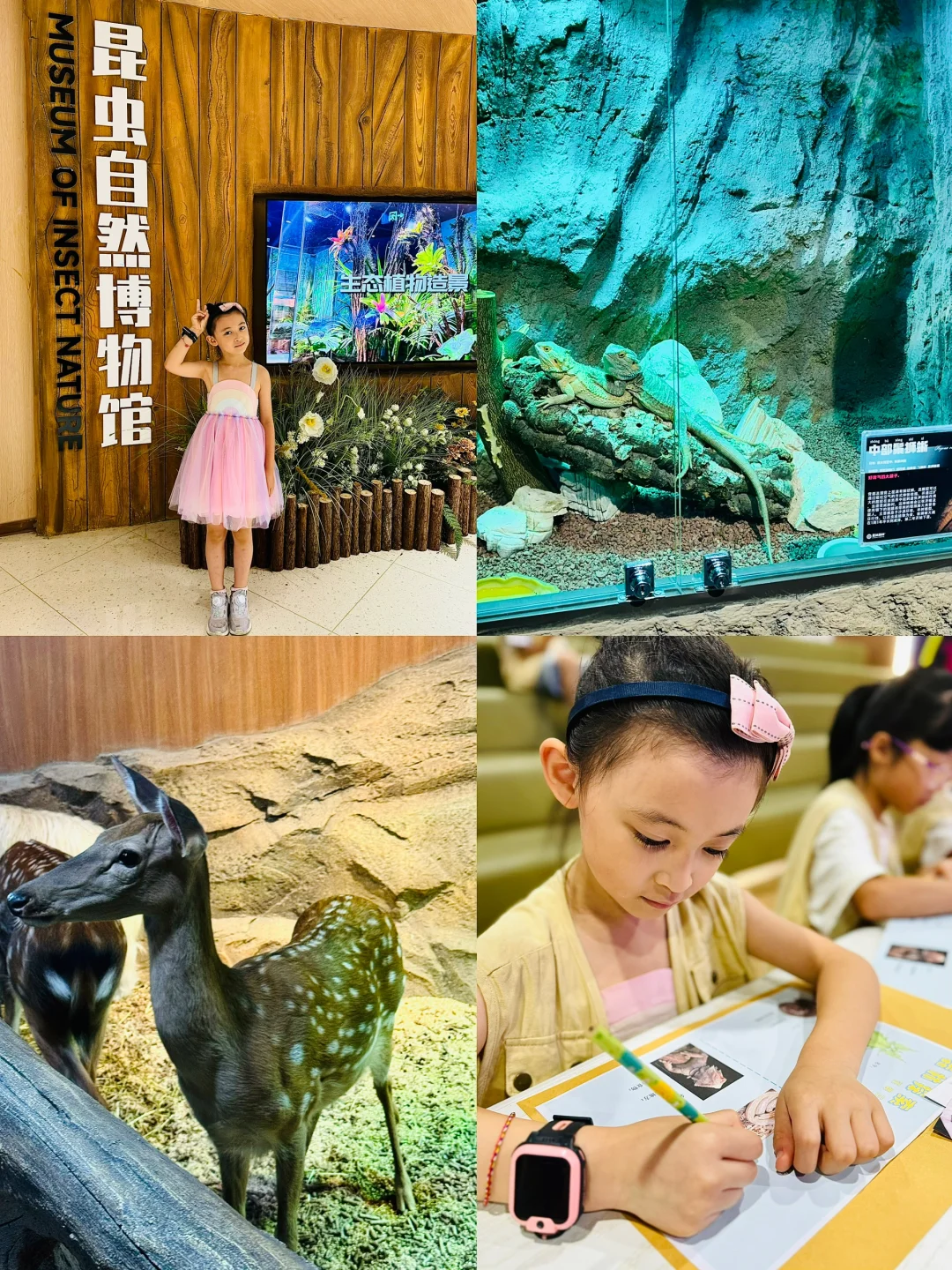 来佛山昆虫博物馆一日游啦