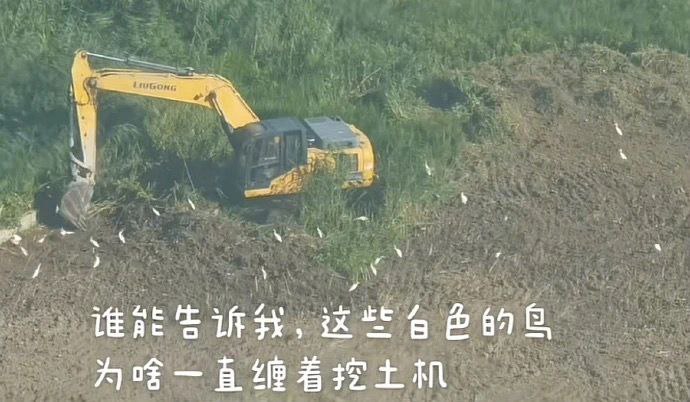 时代变了 ​​​
