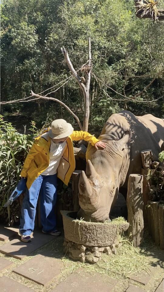 昆明周末｜反向旅游去普洱过个暖冬