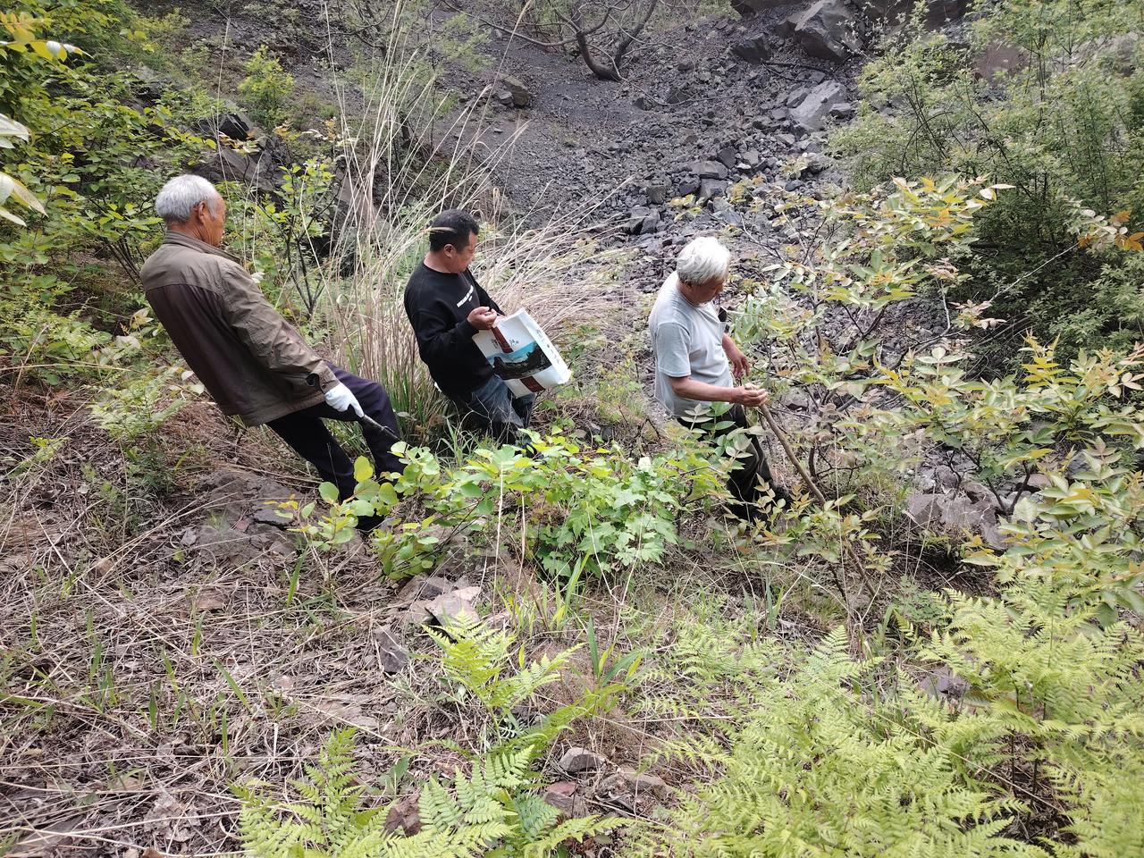 分享一张最近随手拍的照片汝阳县裂子山古铜矿遗址考察。