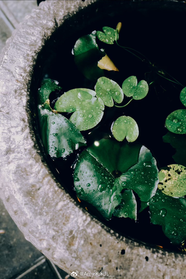 早安  🍃·GOOD MORNING·知足者常乐，感恩者多福，少一点贪求，多一