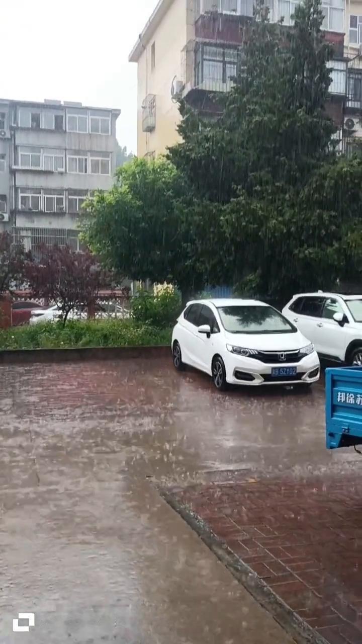 暴风雨要来的节奏，看这雨从北边来的，风满楼，等到雨了，这雨还真的是下了，这里是真