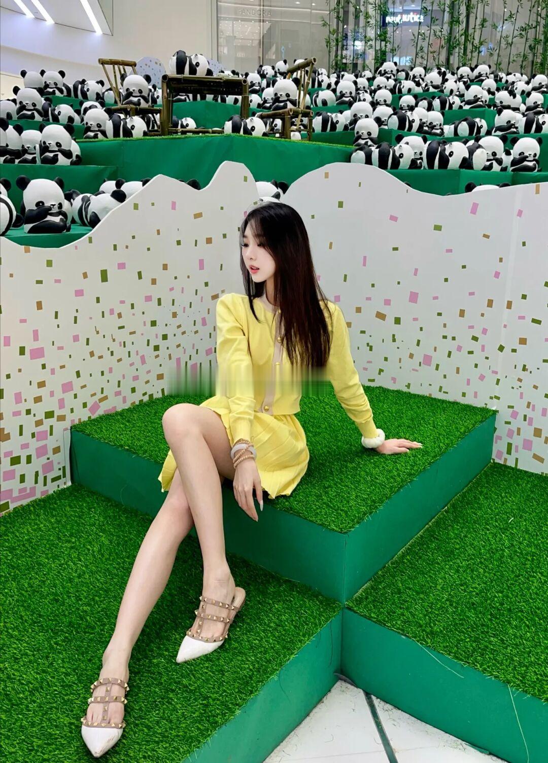 长沙IFS🆓免费新展｜1千多只国宝熊猫！