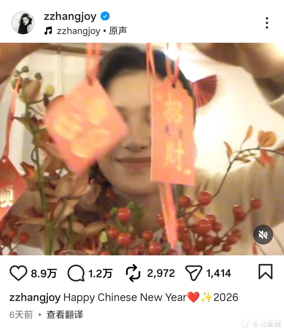 张婧仪因为在ins上发Chinese new year被越南人冲了，中国美女想发