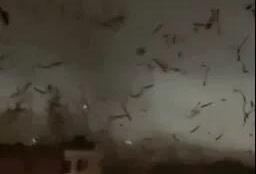 广州白云区昨天下午发生了一起令人伤心的事件，一场龙卷风夺去了5个人的生命，另有3