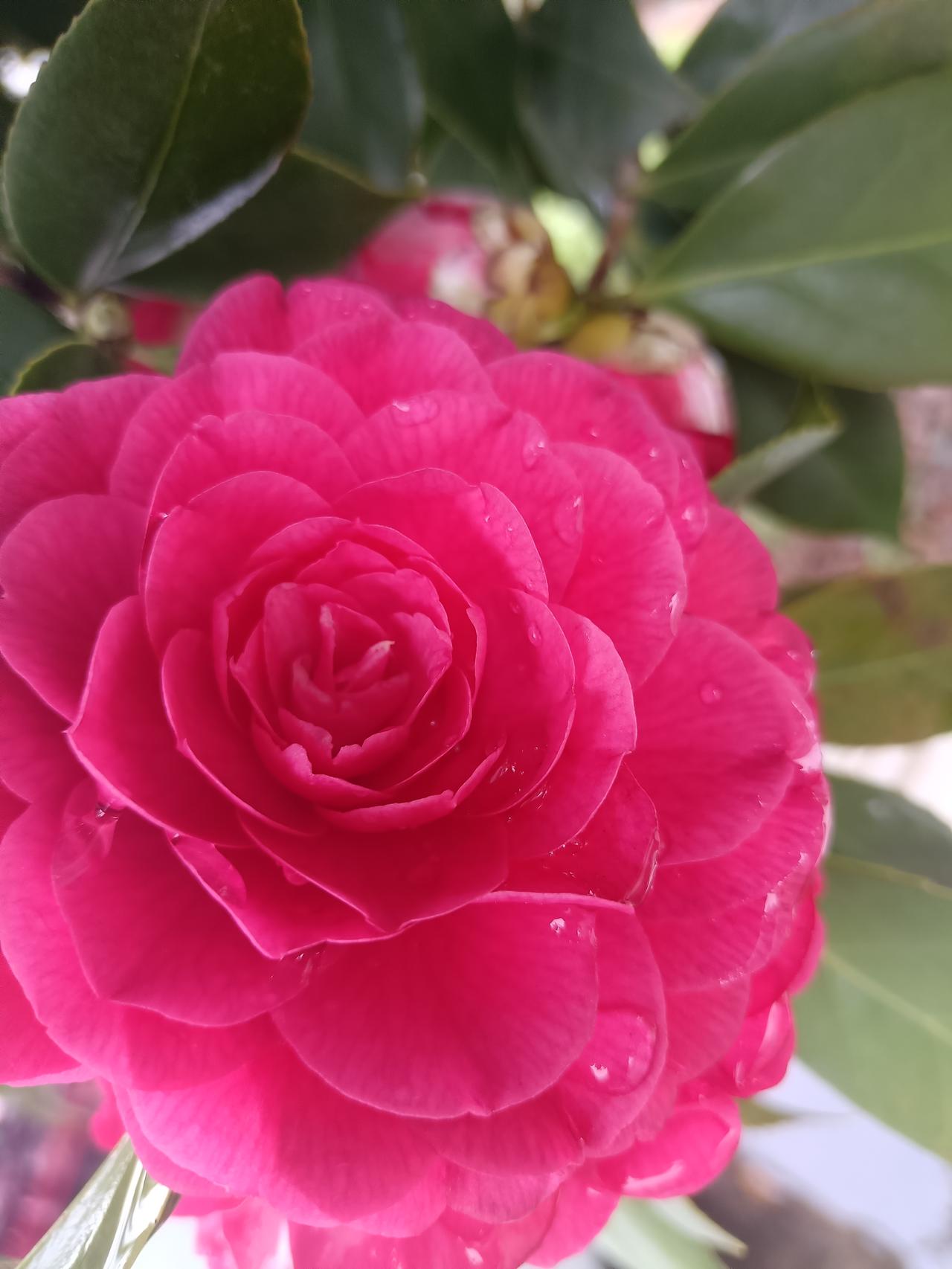 统一祖国就在眼前，14亿中国人民的愿望。