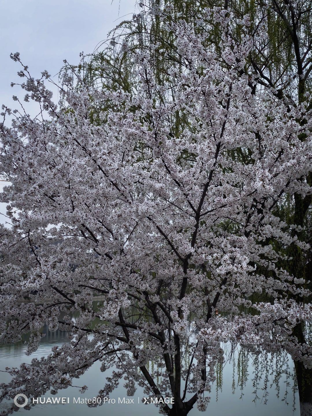 设备挺好，技术很差