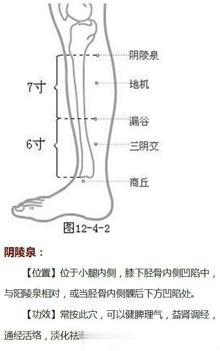 八大奇穴要记牢 ①照海穴,告别咽痛和失眠;②申脉穴,体贴身寒多病者的纯阳大药;③