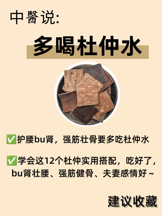 10种杜仲神仙搭配，护腰bu肾、强筋骨