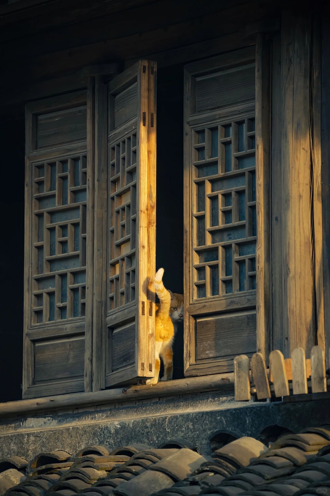 铃儿响叮当