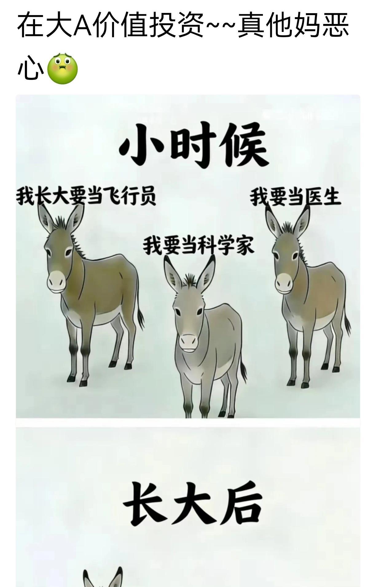 悄悄的，好好的
从上月开始养鸡，五十多的小老头开始变身菜鸟养鸡人，闲暇之余喜欢看