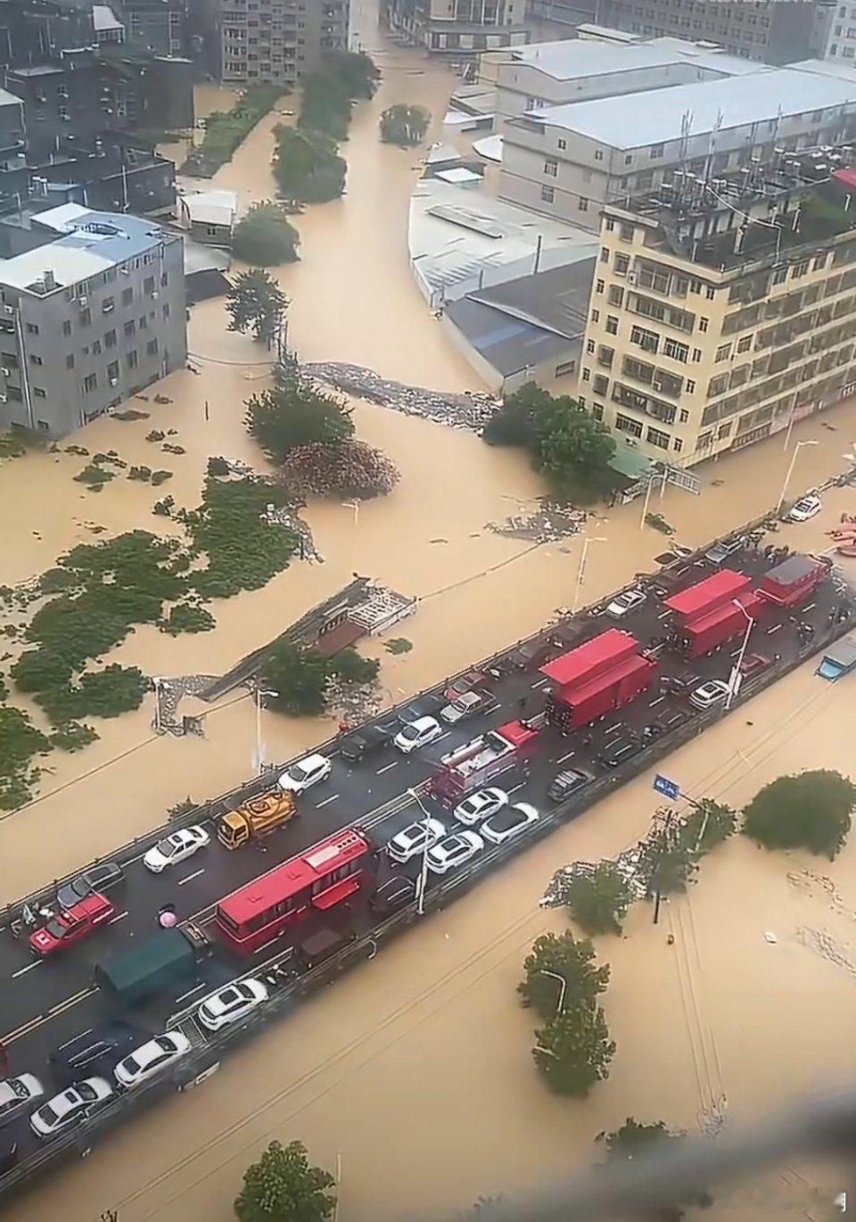 今年这天气是怎么了，好多地方被洪水淹。我们这小县城今年被淹了三次。[二哈] ​​