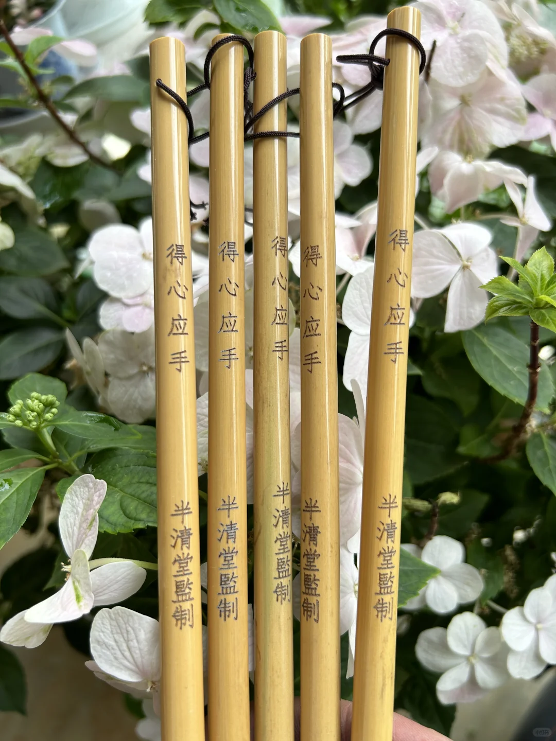 得心应手，五体皆可，出锋4.0