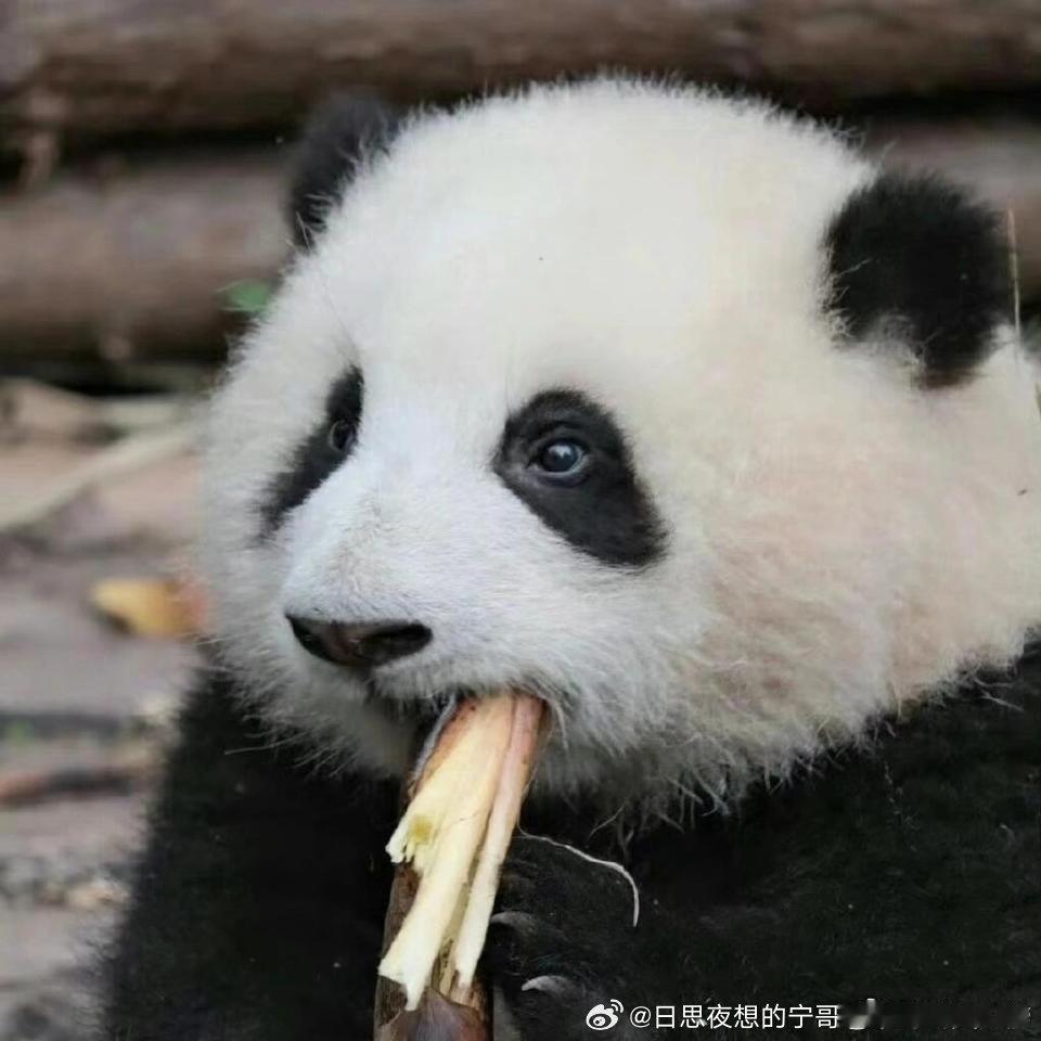 想对全世界说晚安，恰好你就是全世界😊 