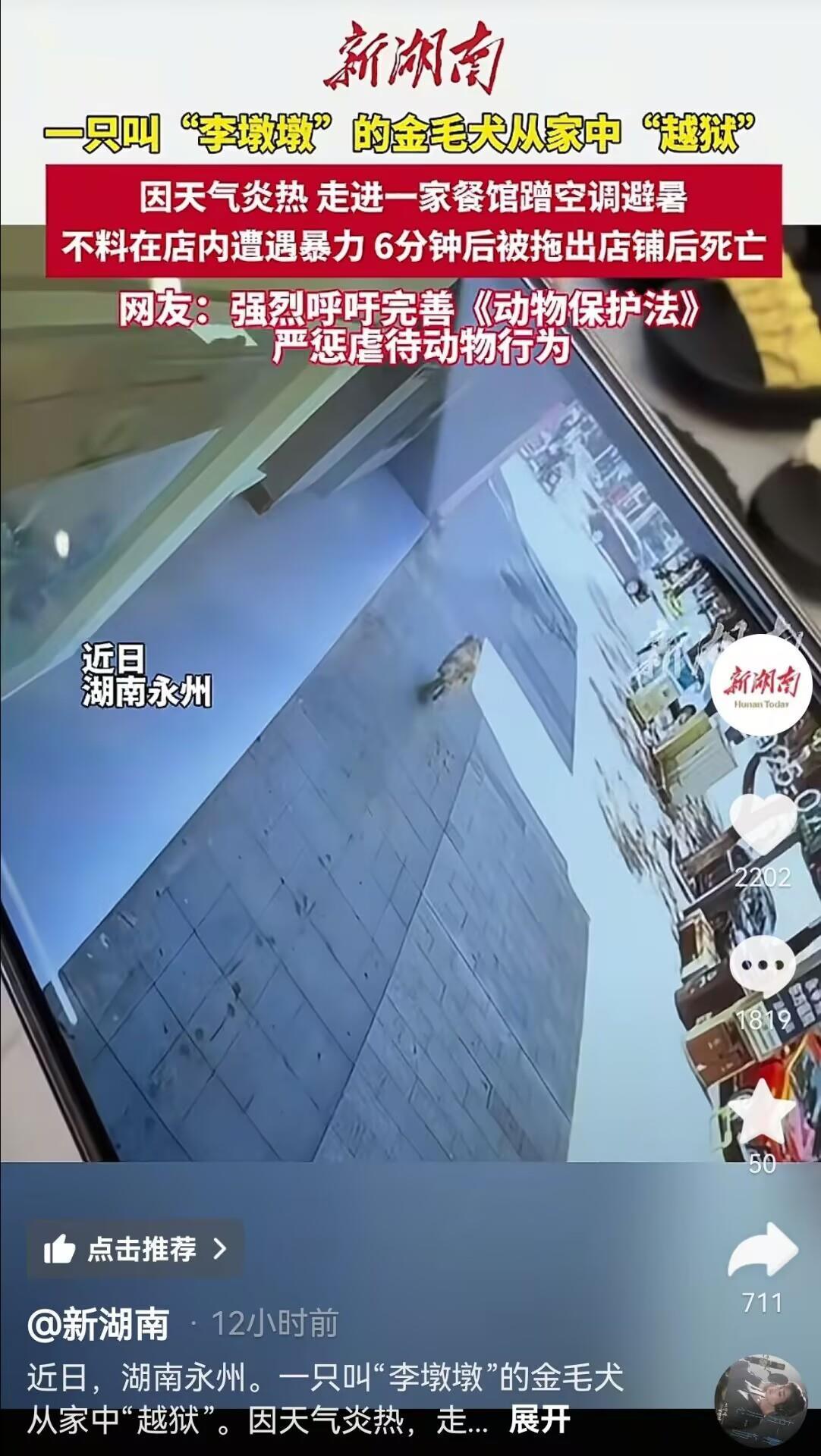 永州一只金毛犬在一家餐馆遭到殴打后死亡？当地警方已介入