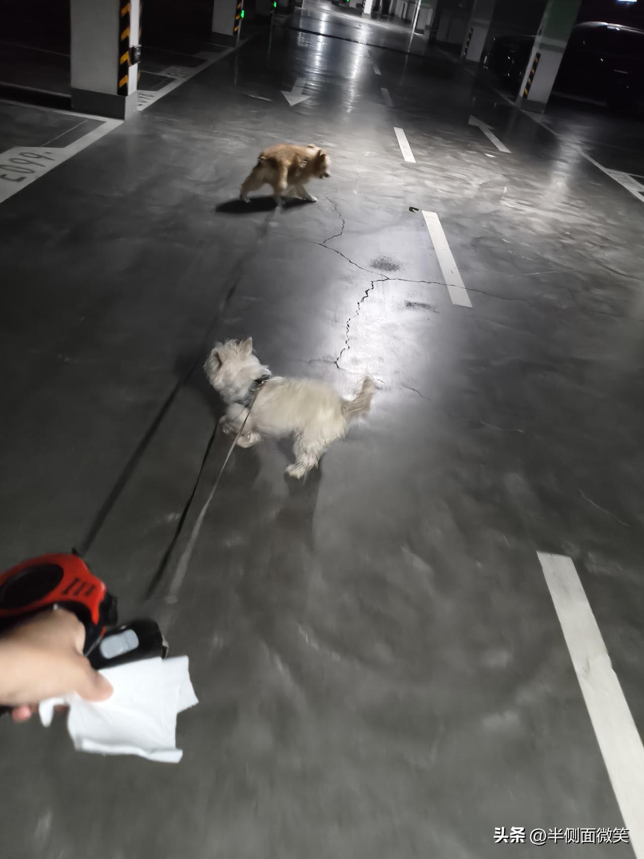 我认为不支持

不支持