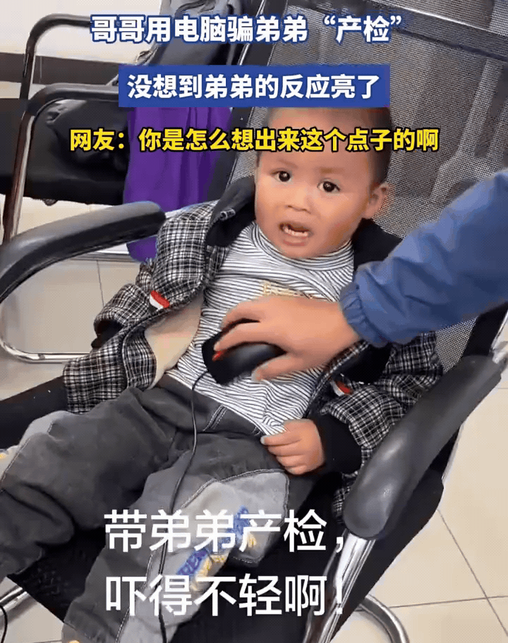 给弟弟做个免费“产检”，没想到一查直接查出怀了小狗，弟弟一脸懵圈，害羞到头都不敢