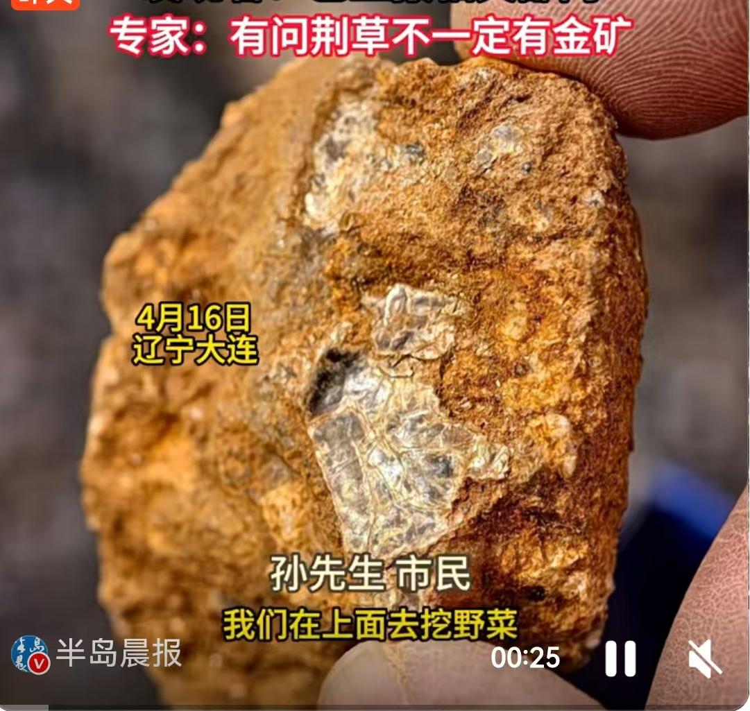 4月16日的辽宁庄河，一场原本普通的家庭春日爬山挖野菜活动，硬生生被一个8岁男孩