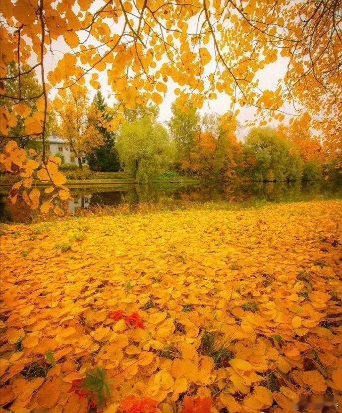 '早安早安,新的一天治愈不开心人生感悟人生微语早安心语 情感语录每天说早安心情日