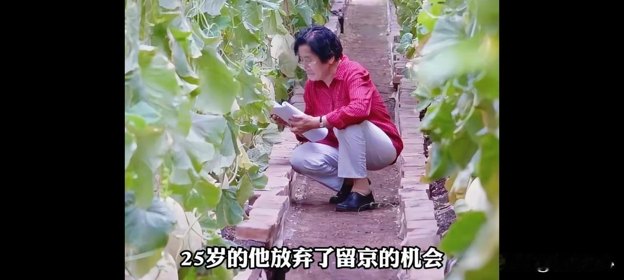 一位喂饱国人饭碗，一位甜了国人夏天！两位院士，守护几代人的烟火幸福
 
袁隆平爷