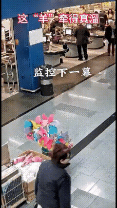 大妈太胆大了

大妈走在大街上，东张西望，看到路边有卖推车的，顺手拉一个就走，动