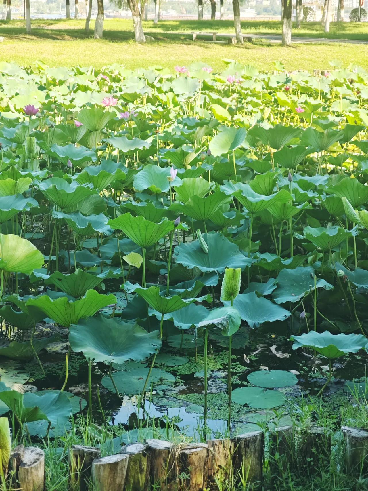 AI巨头的回报之路：短期承压，长期价值可期

尽管分析师预测阿里巴巴最新季度收入