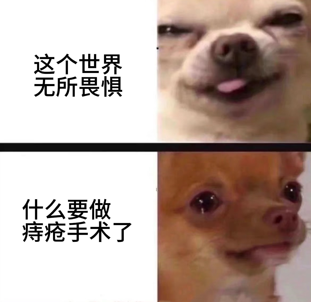 AI评割痔疮冲进临床最痛苦手术“割痔疮剧痛”确实是真的！原因有几个：1️⃣ 神经