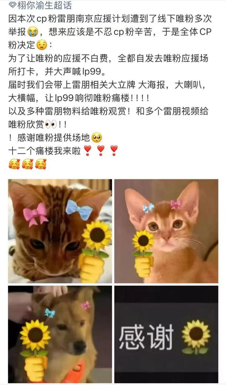 要是不贴脸，谁理你们啊