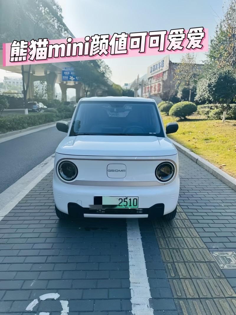 熊猫2024款熊猫mini 200km耐力熊

裸车价：4.30万

10kWh