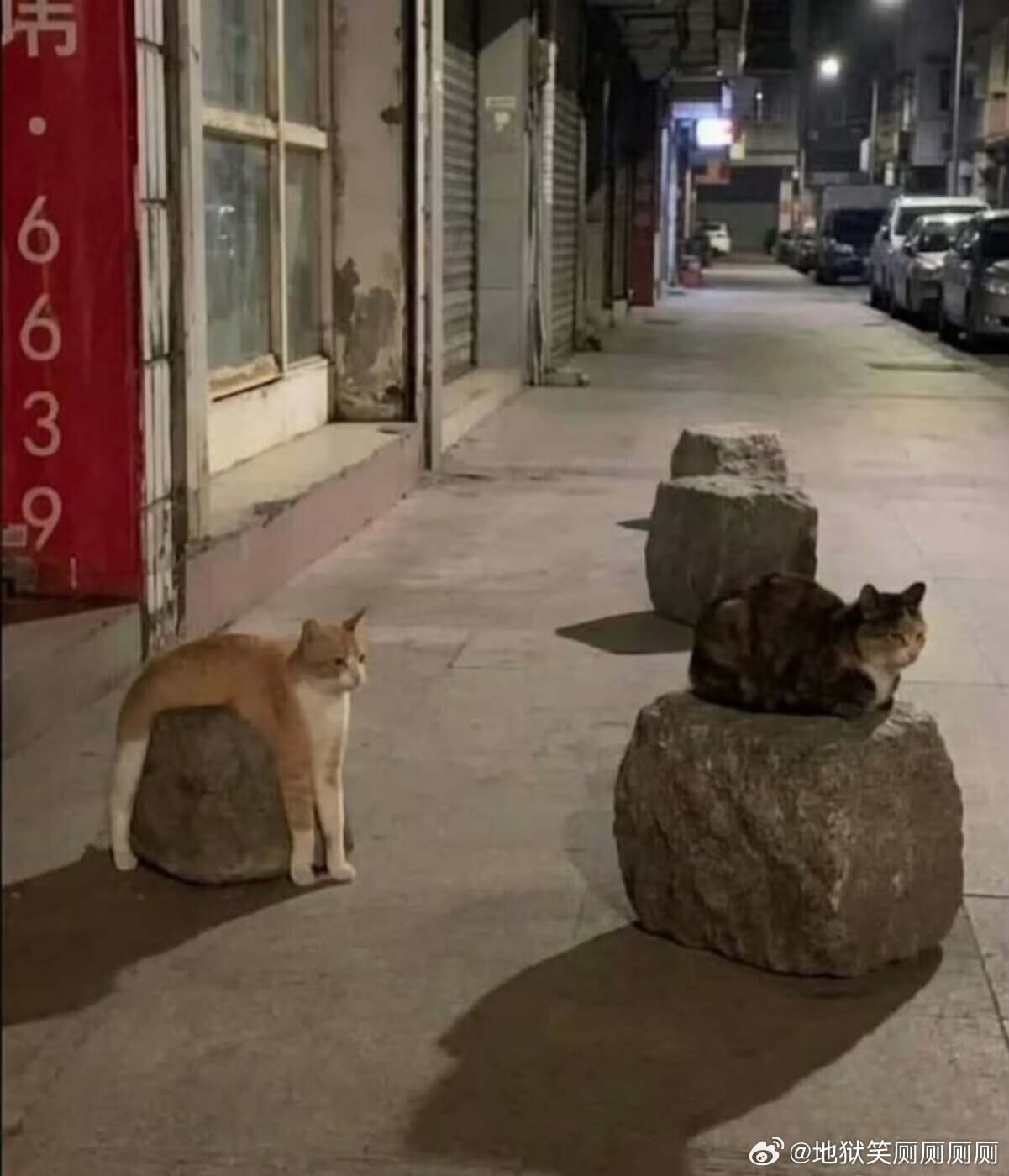 1653两种坐在石头上的方式 