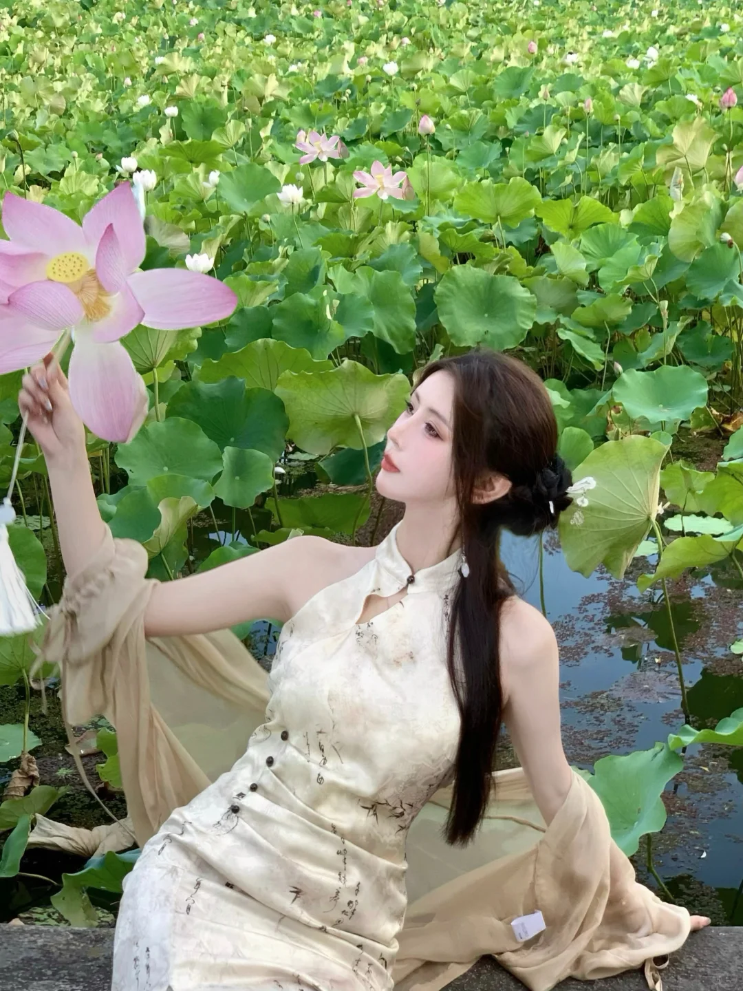 误入藕花深处🪷