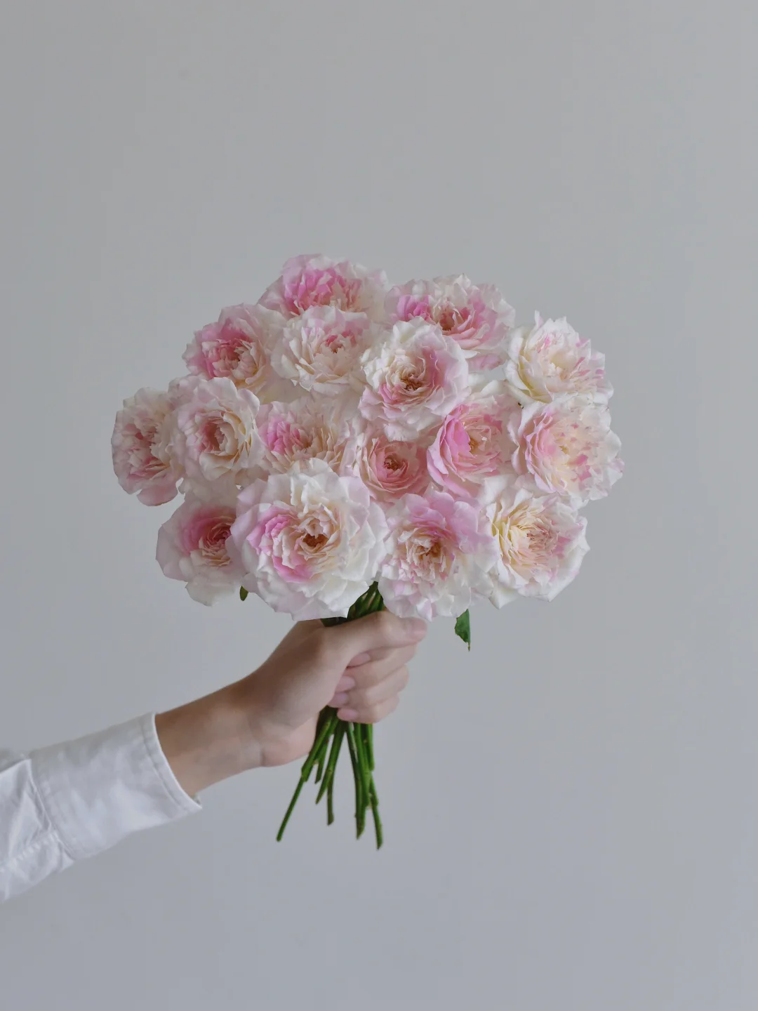 初见玫瑰园·法式千层酥