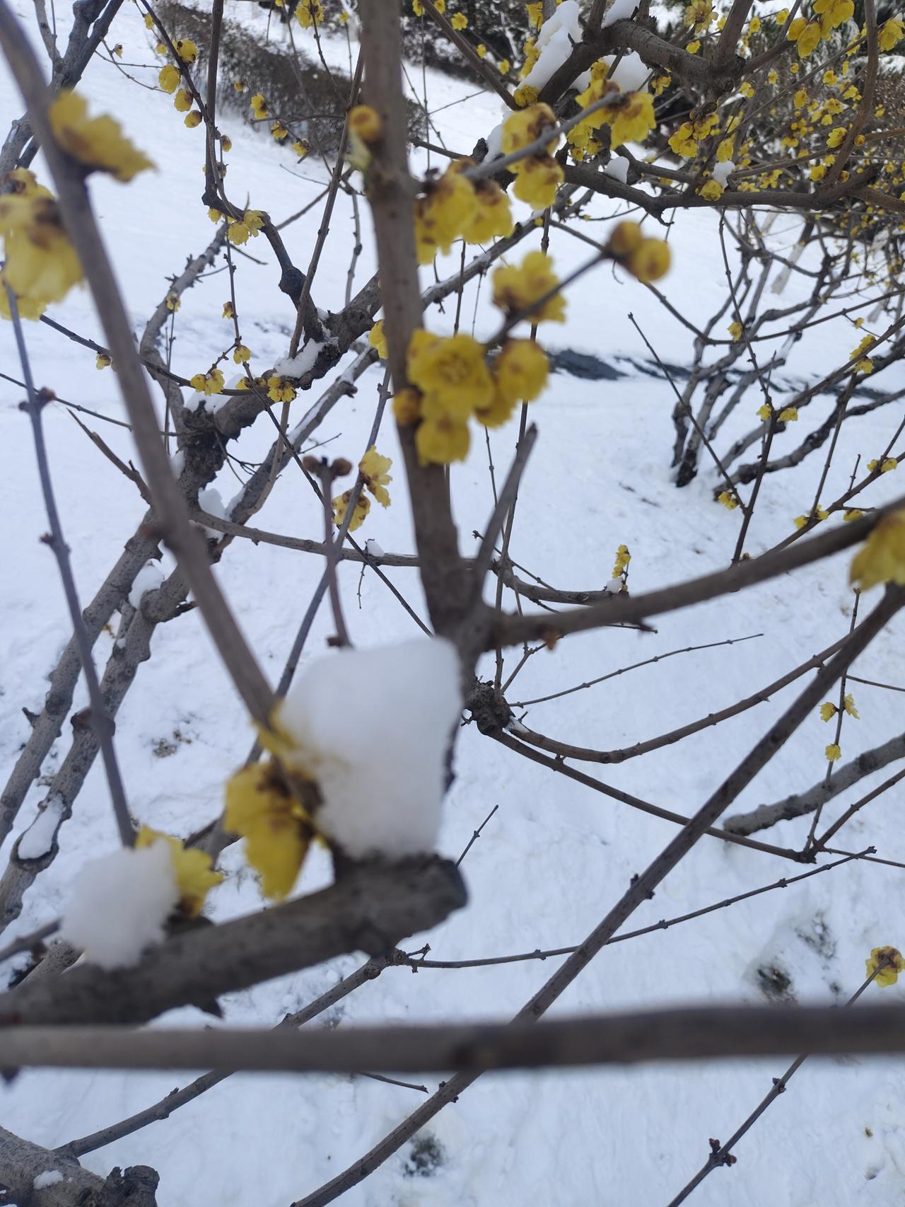 这顿该不该我请？

前两年，上海一个同事来焦作出差，临走的时候，要到郑州来坐飞机