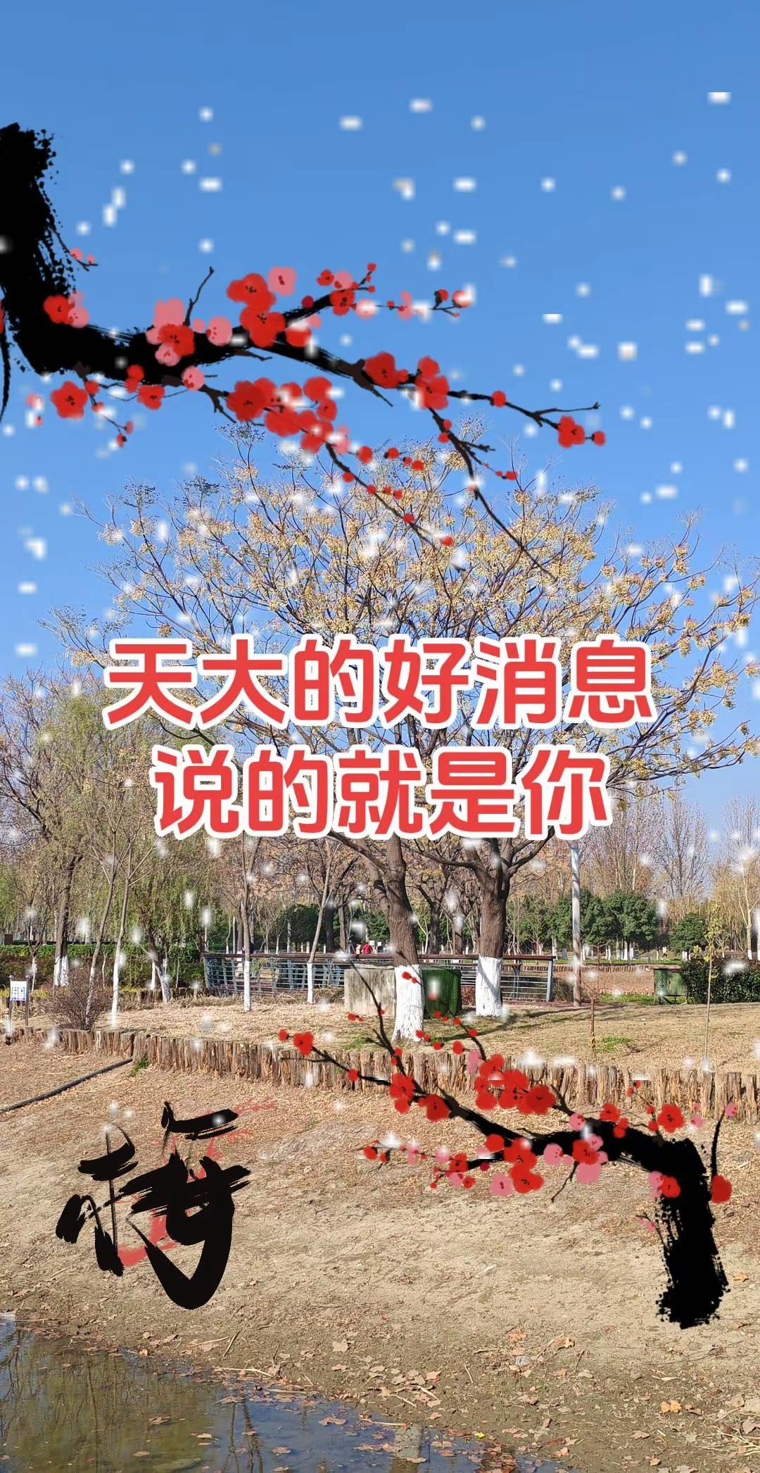 一张照片制作同款