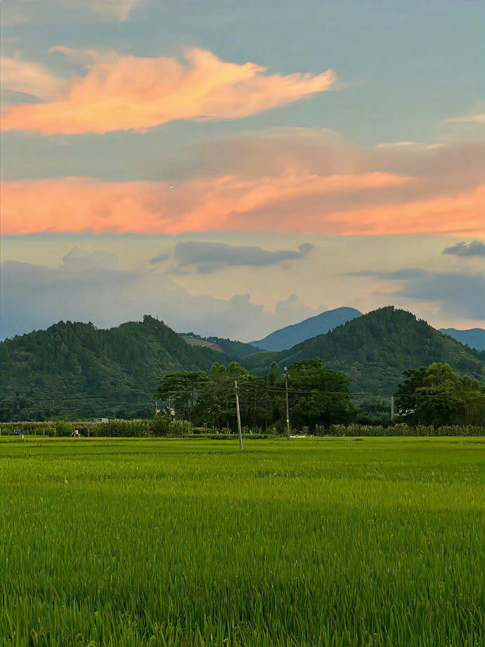 傍晚,夕阳,农村,平凡生活！ ​ ​​​