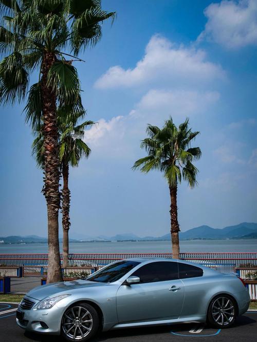 过年搭子选星海 过年搭子选星海，真是太明智啦！这两年聚会话题都变了，以前必谈房子