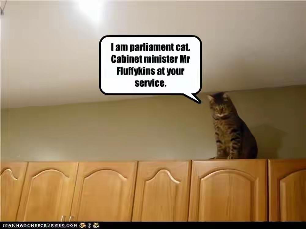 美以伊战争对全球农业周期影响巨大。在历史上，人们会安排战争避开农业周期，秋季收获